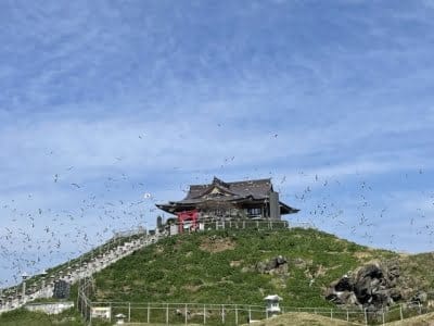八戸市の占い!白山台の手相・シンフォニープラザなど八戸占い館
